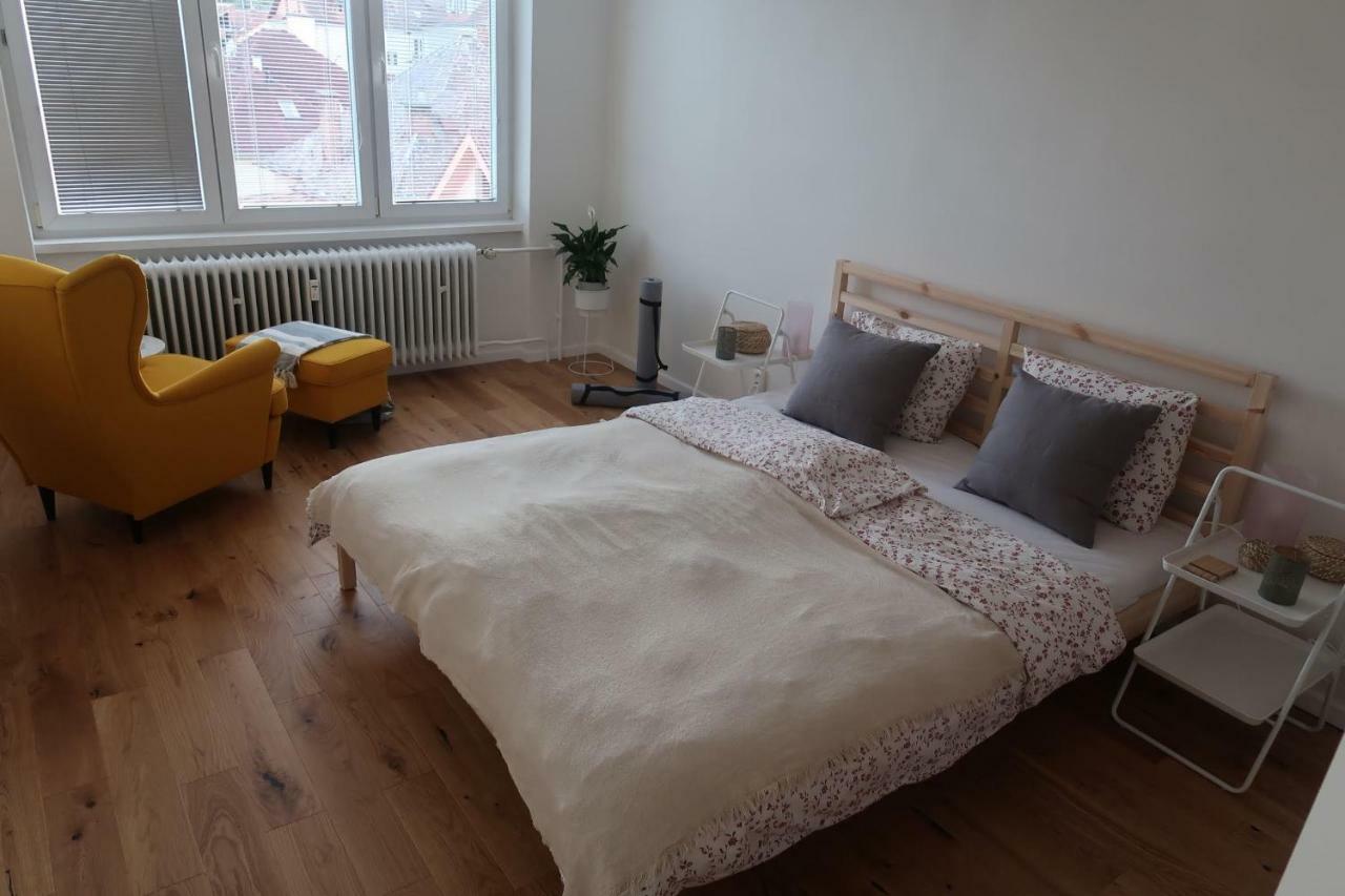Hniezdo V Raji 1 - Luxurious Apartment 3 Min Walk To City Center Спишска-Нова-Вес Экстерьер фото